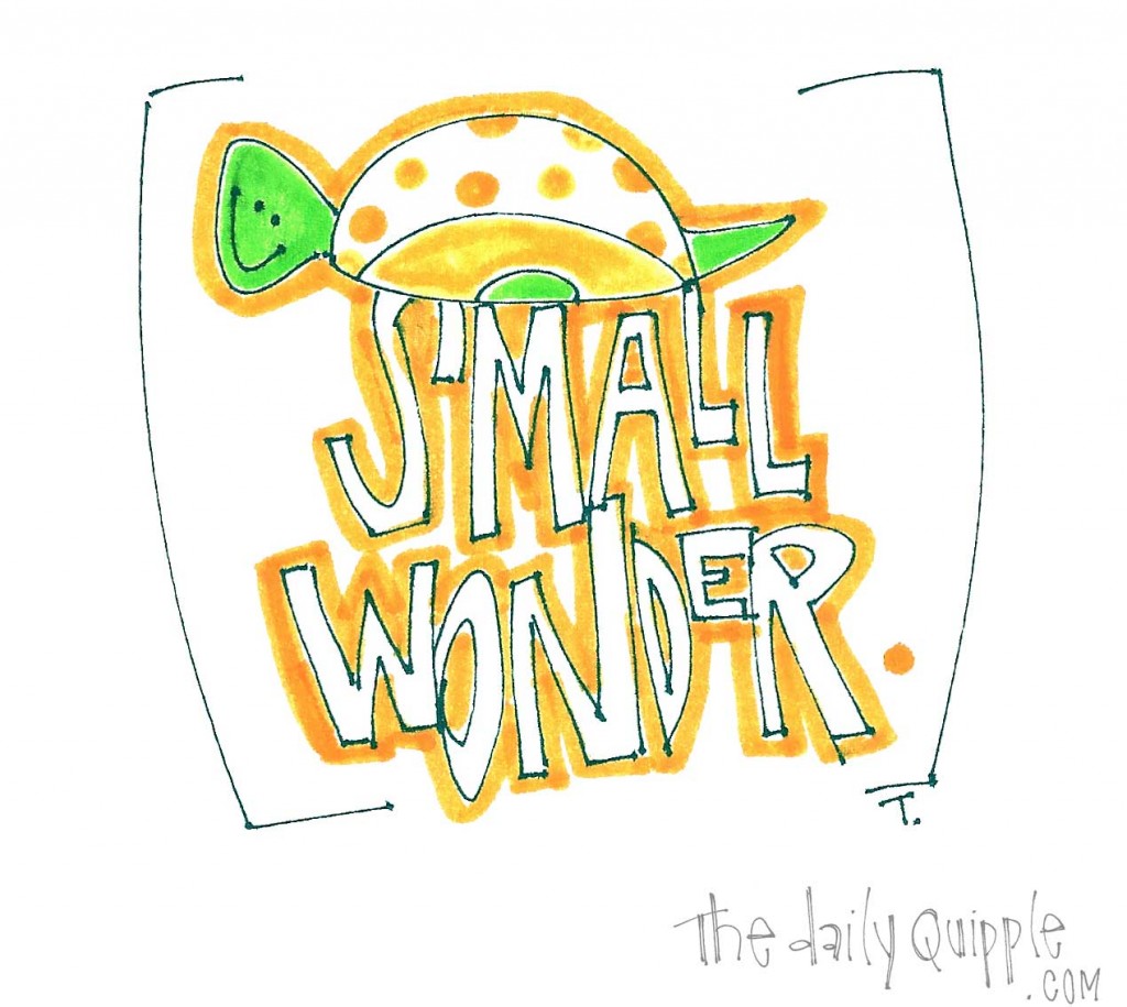 Small Wonder snail
