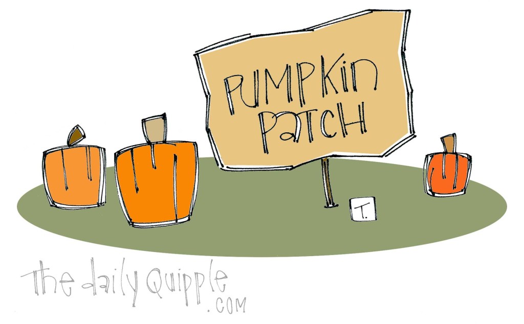 Pumpkins in a pumpkin patch.