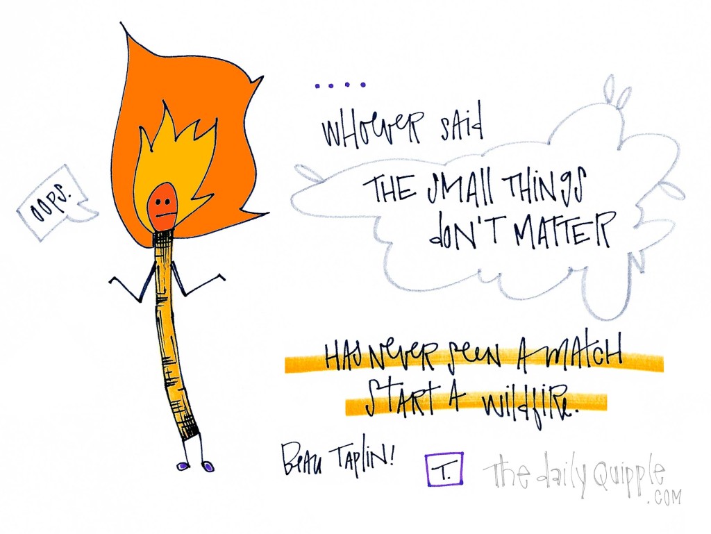 "Whoever said the small things don't matter has never seen a match start a wildfire." [Beau Taplin]