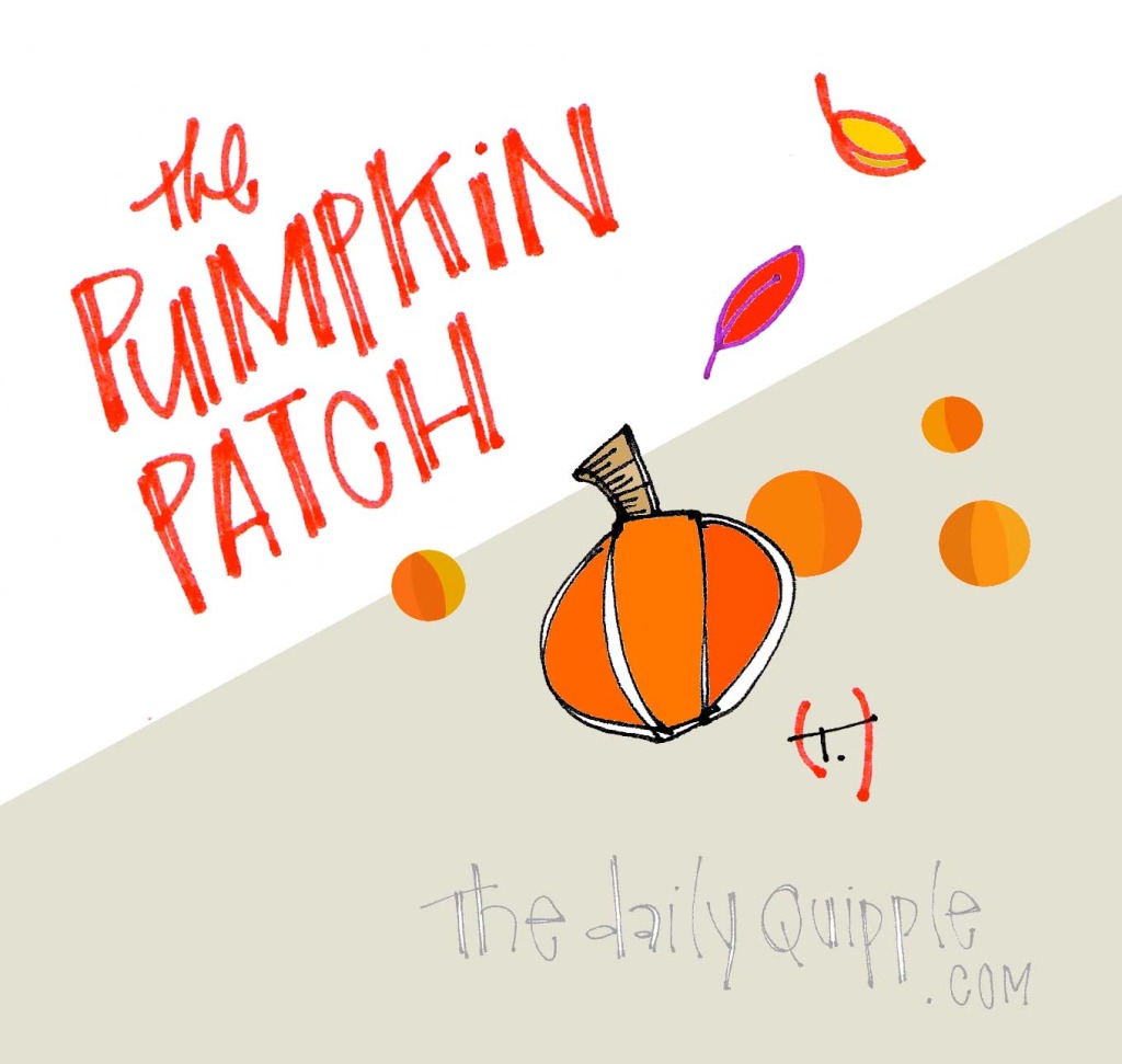The pumpkin patch awaits!