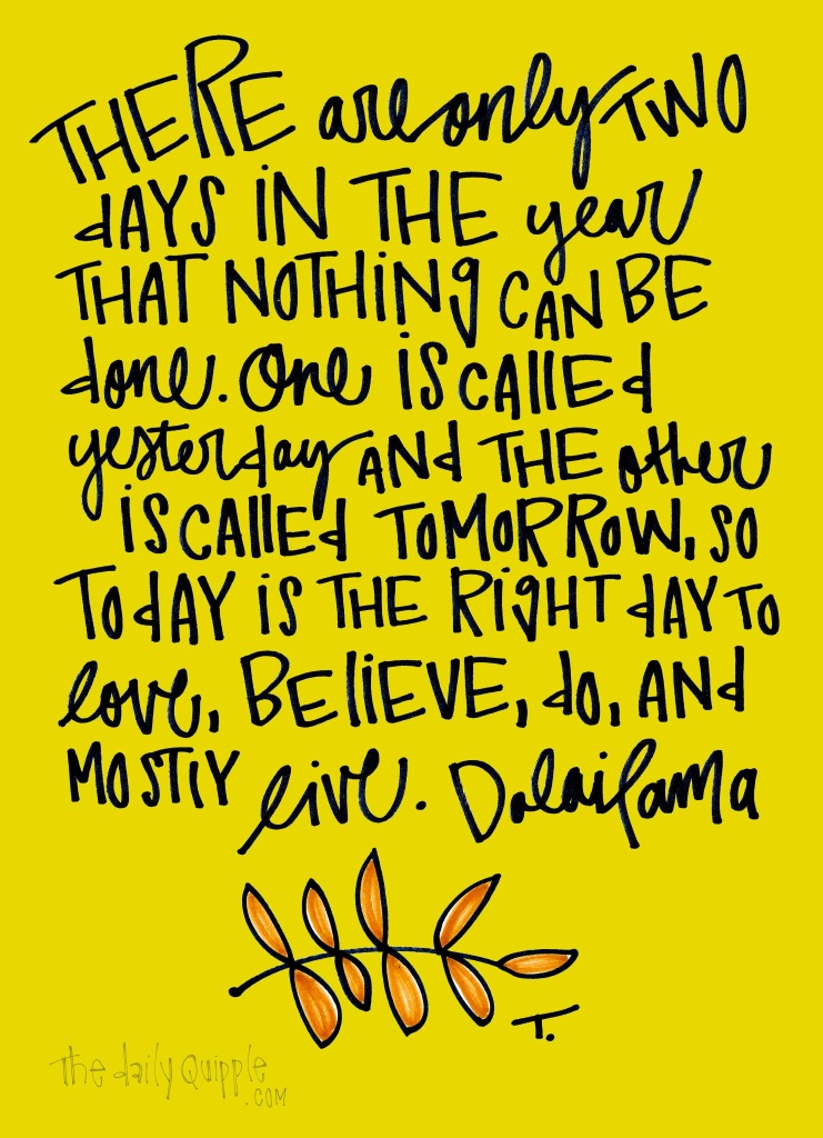 There are only two days in the year that nothing can be done. One is called yesterday and the other is called tomorrow, so today is the right day to love, believe, do, and mostly live. [Dalai Lama]