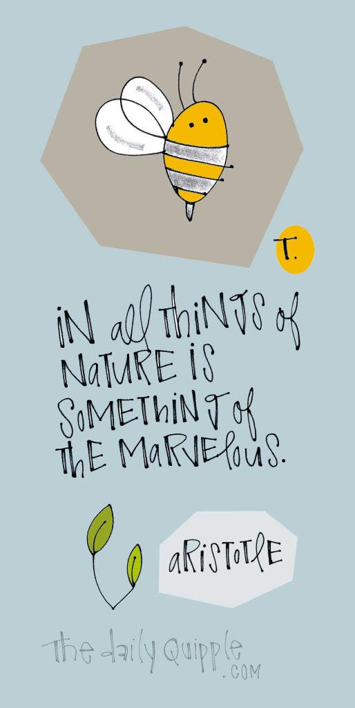 In all things of nature is something of the marvelous. [Aristotle]
