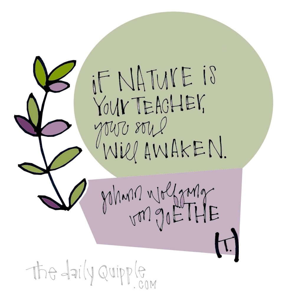 If nature is your teacher, your soul will awaken. [Johann Wolfgang von Goethe]