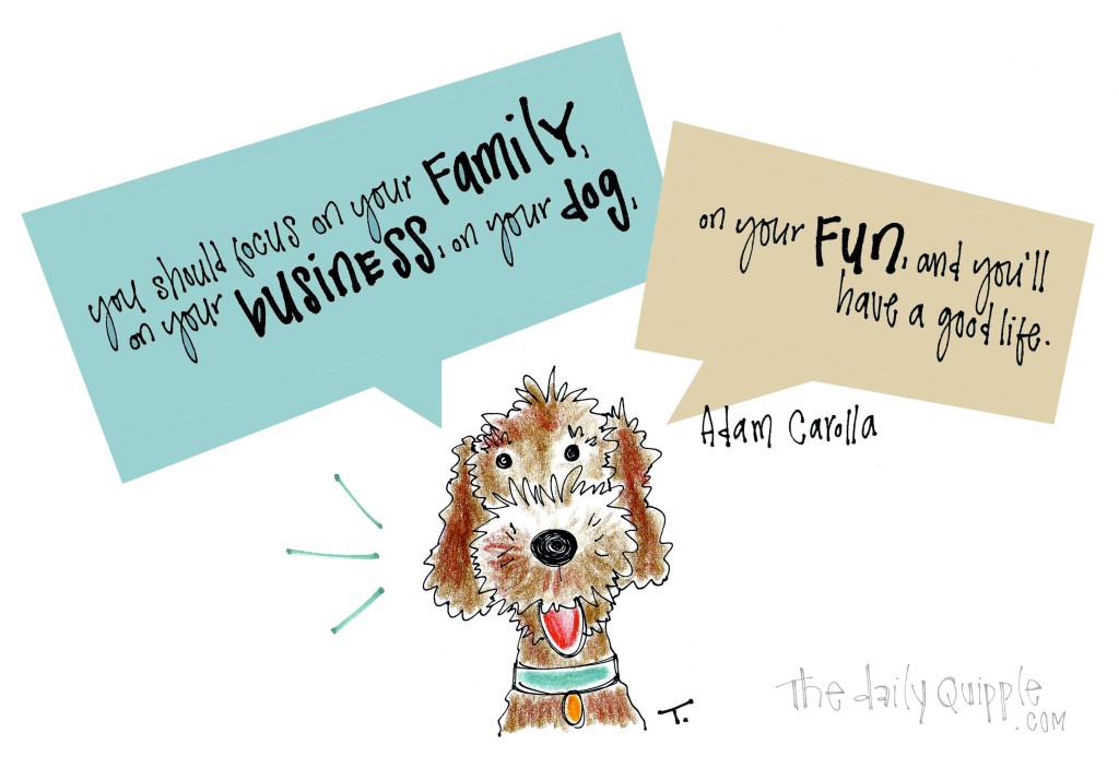 Focus on your family, on your business, on your dog, on your fun, and you’ll have a good life. [Adam Carolla]