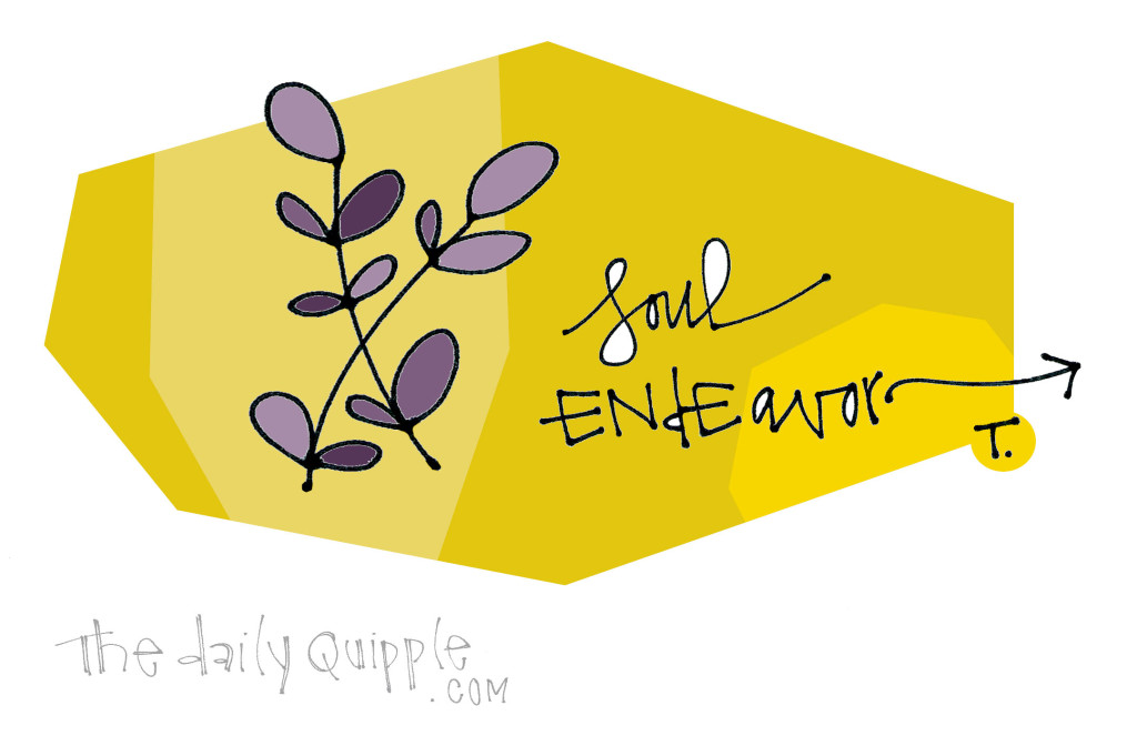 soul endeavor