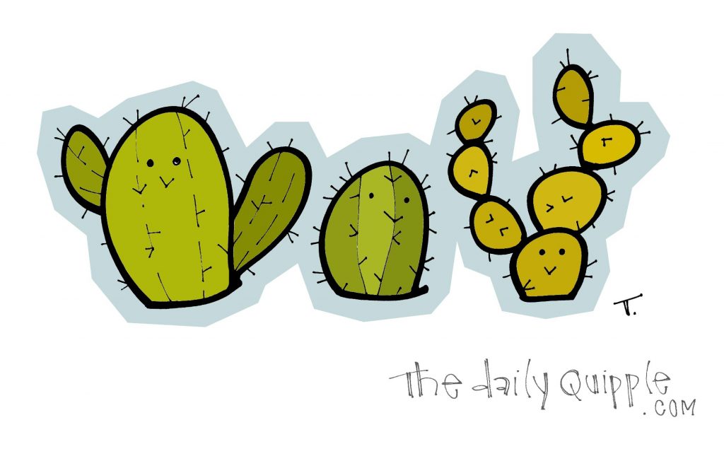 Three cacti stand in a row.