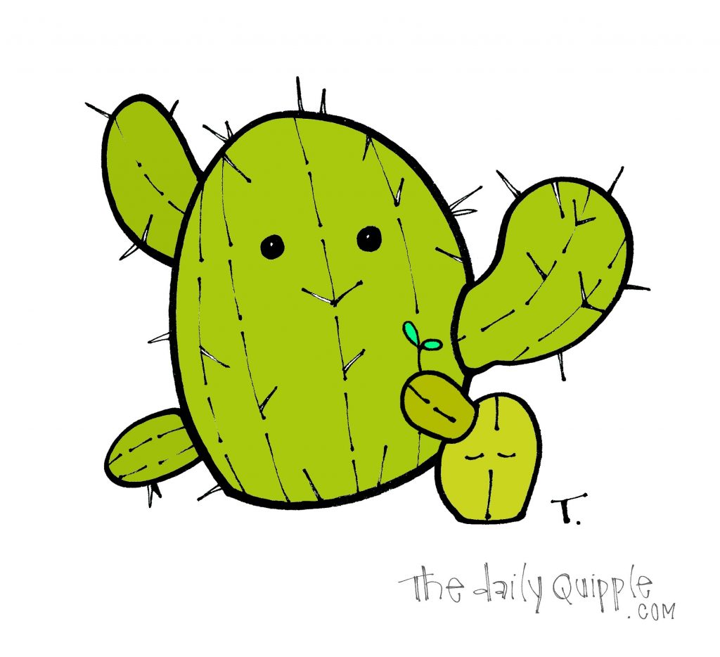 A big and a little cactus.
