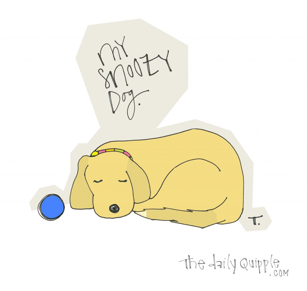 illustration of a dog and the words: My snoozy dog.