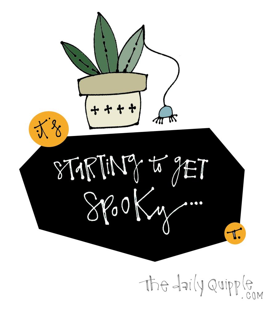 Illustration of a potted plant and a hanging spider with words: It’s starting to get spooky...