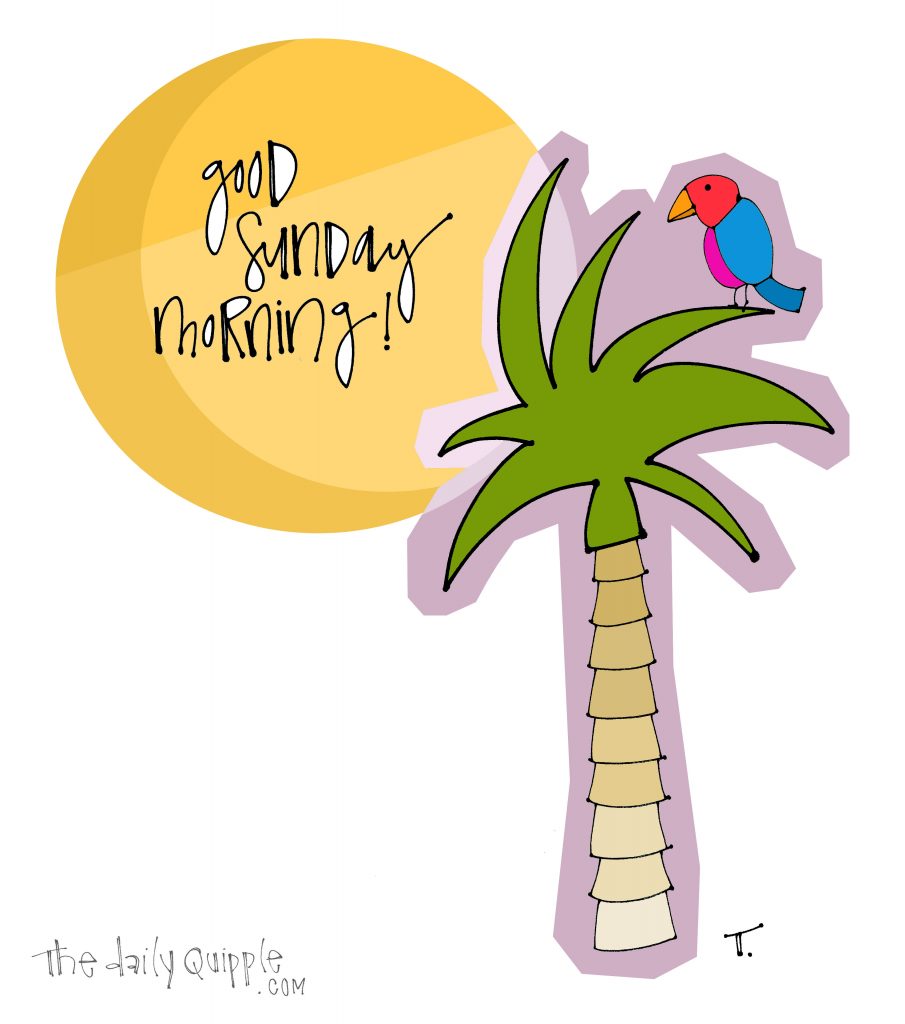 Illustration of a colorful bird on a palm tree with words: Good Sunday morning!