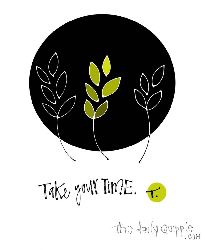 Illustration of growing sprigs and words: Take your time. 