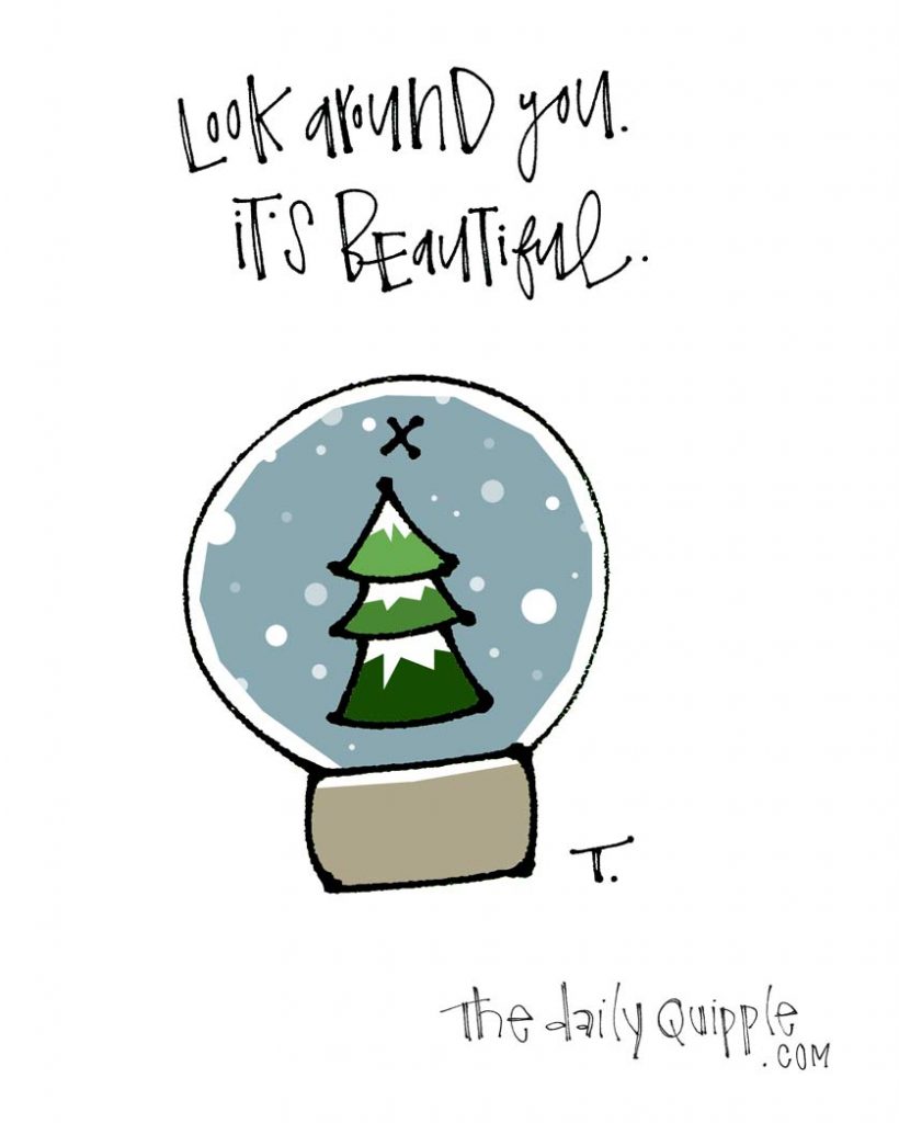 It’s Beautiful | The Daily Quipple