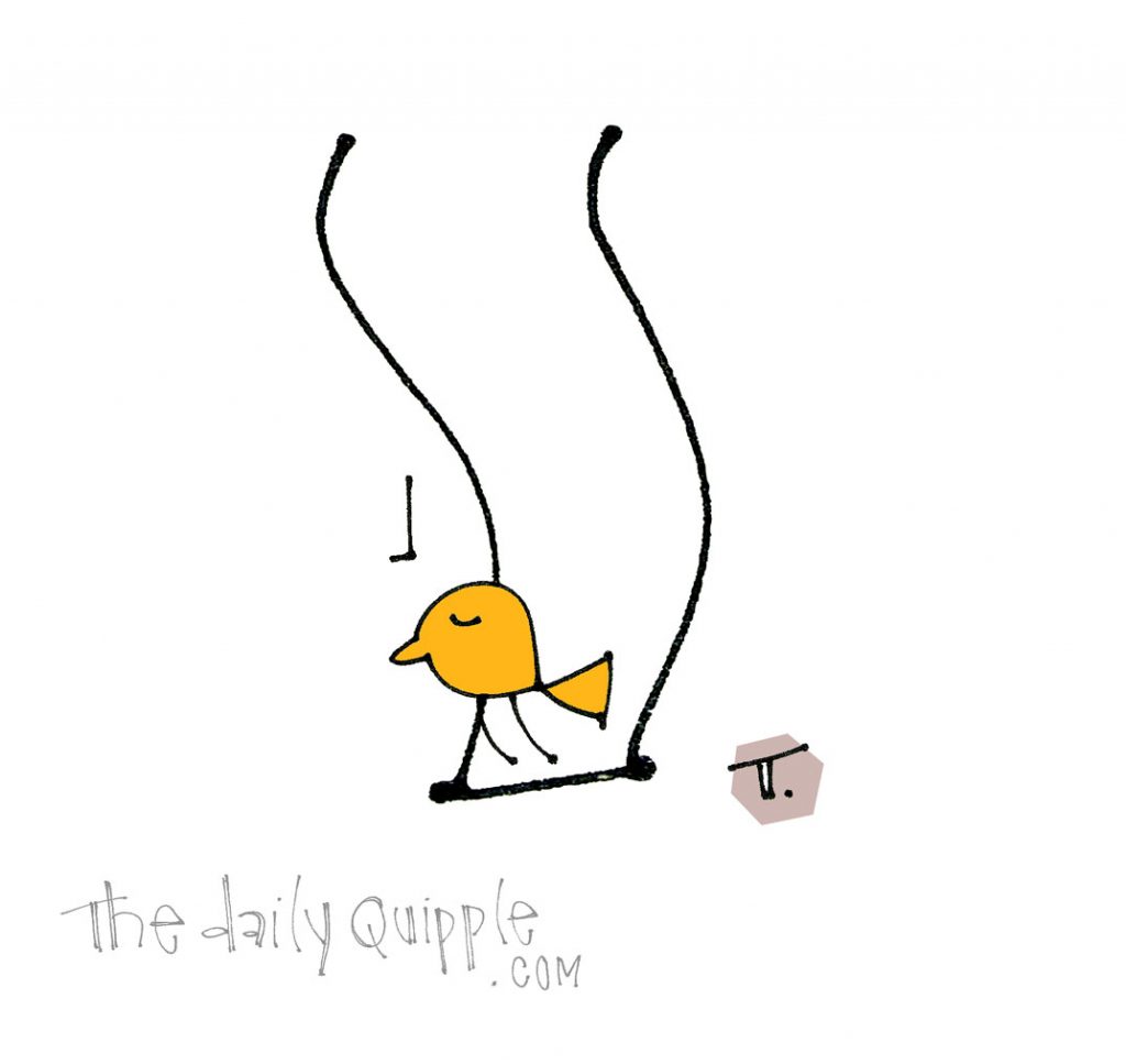 Swinging Along | The Daily Quipple