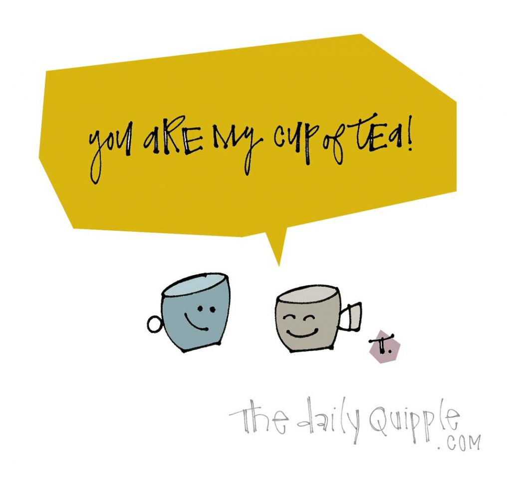 I Pick You! | The Daily Quipple