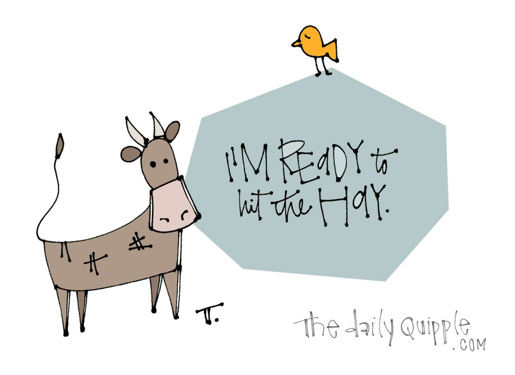 I’m Tired Now, Cow | The Daily Quipple