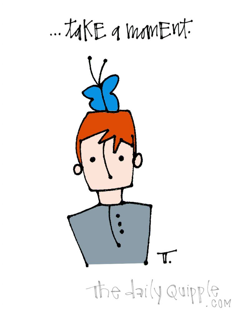When A Butterfly Lands on Your Head… | The Daily Quipple