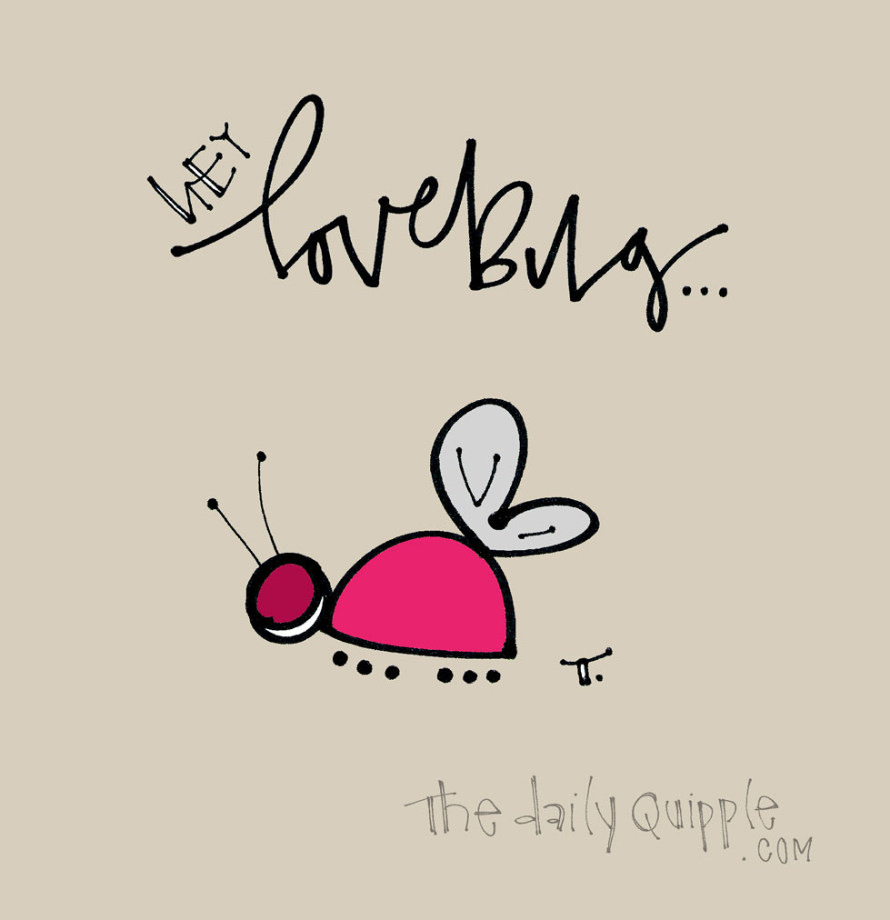 Hey Lovebug! | The Daily Quipple
