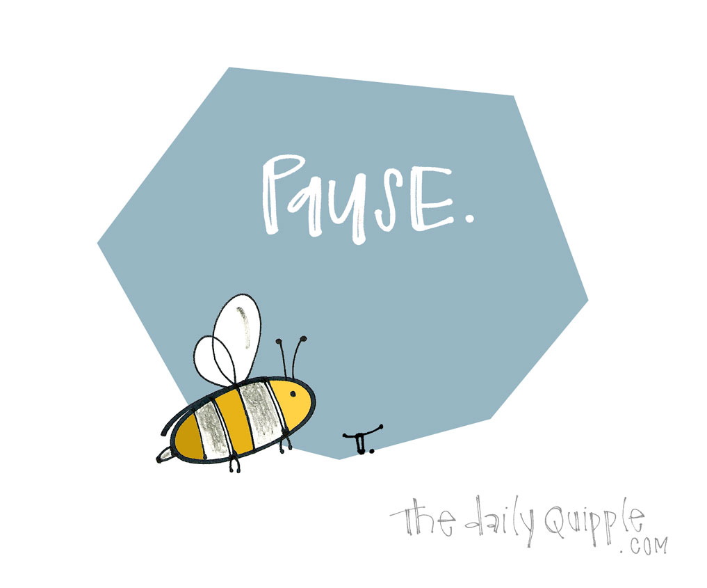 Bee Still | The Daily Quipple