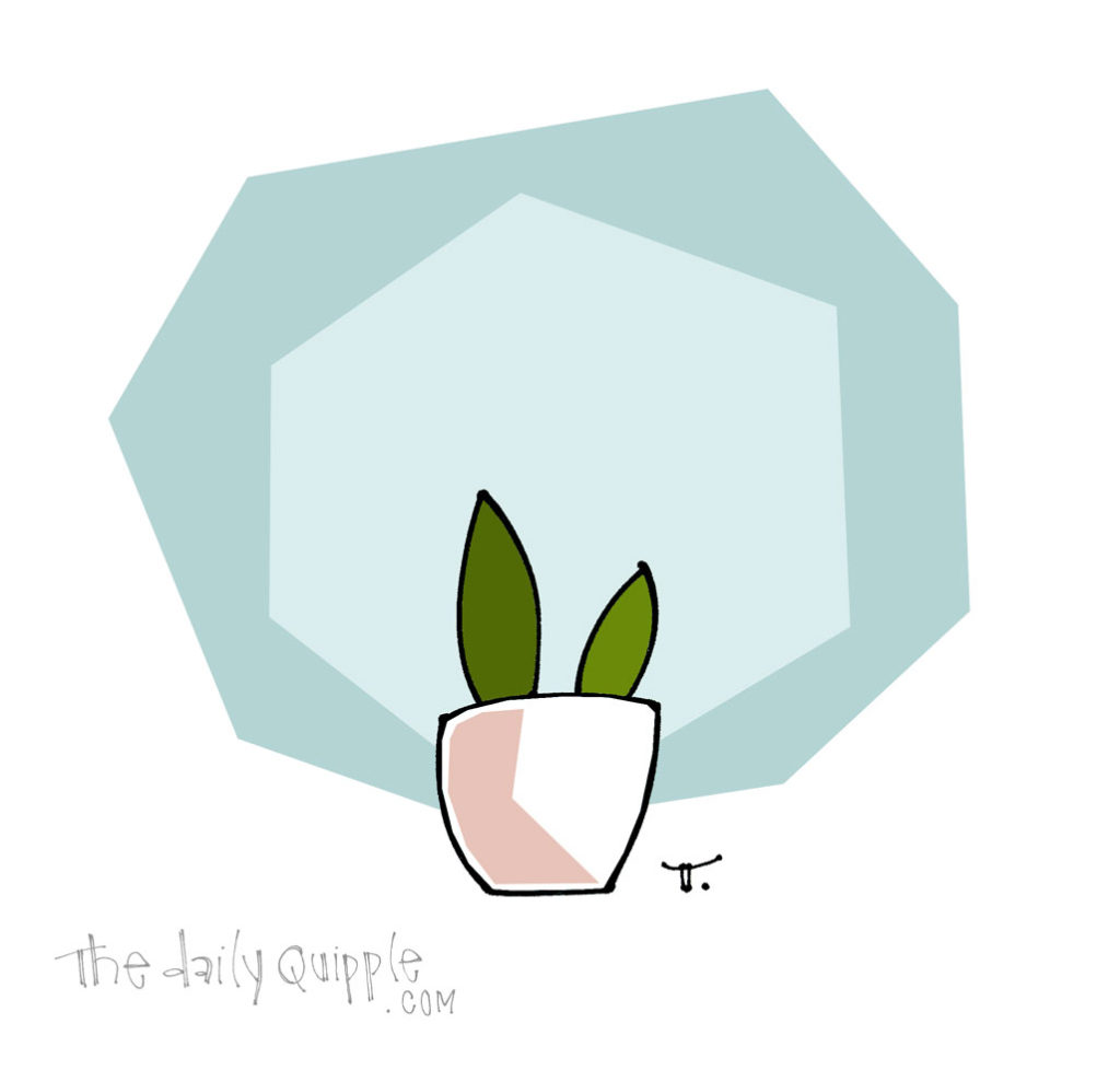 Happy Little Plant | The Daily Quipple