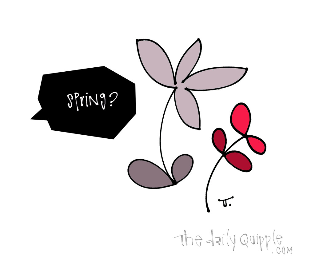 Spring, Are You There | The Daily Quipple