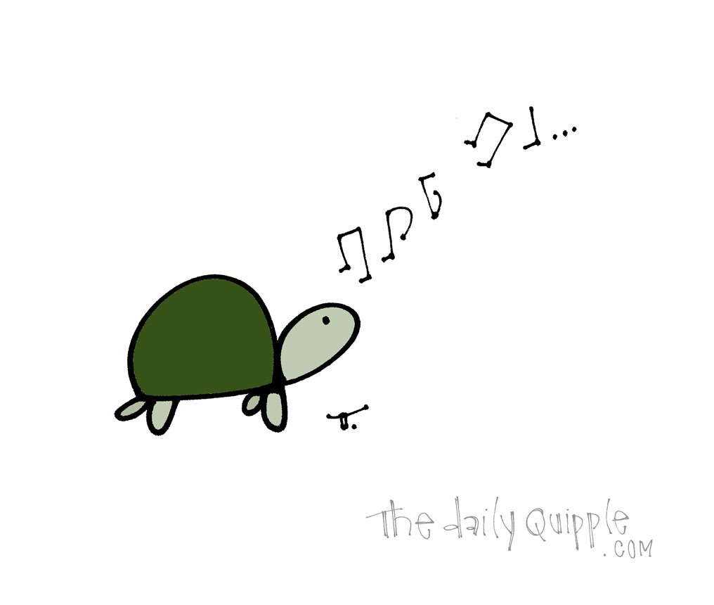Turtle With A Song | The Daily Quipple