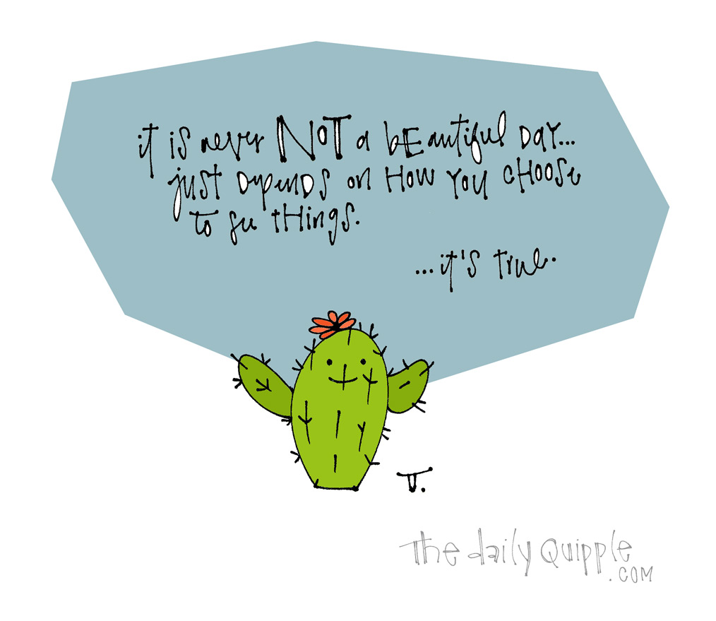 Always a Beautiful Day | The Daily Quipple