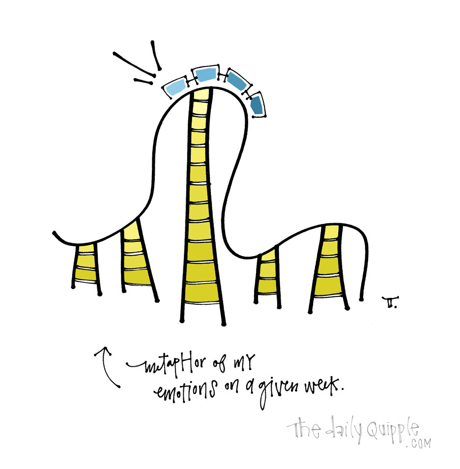 Like a Roller Coaster Ride | The Daily Quipple