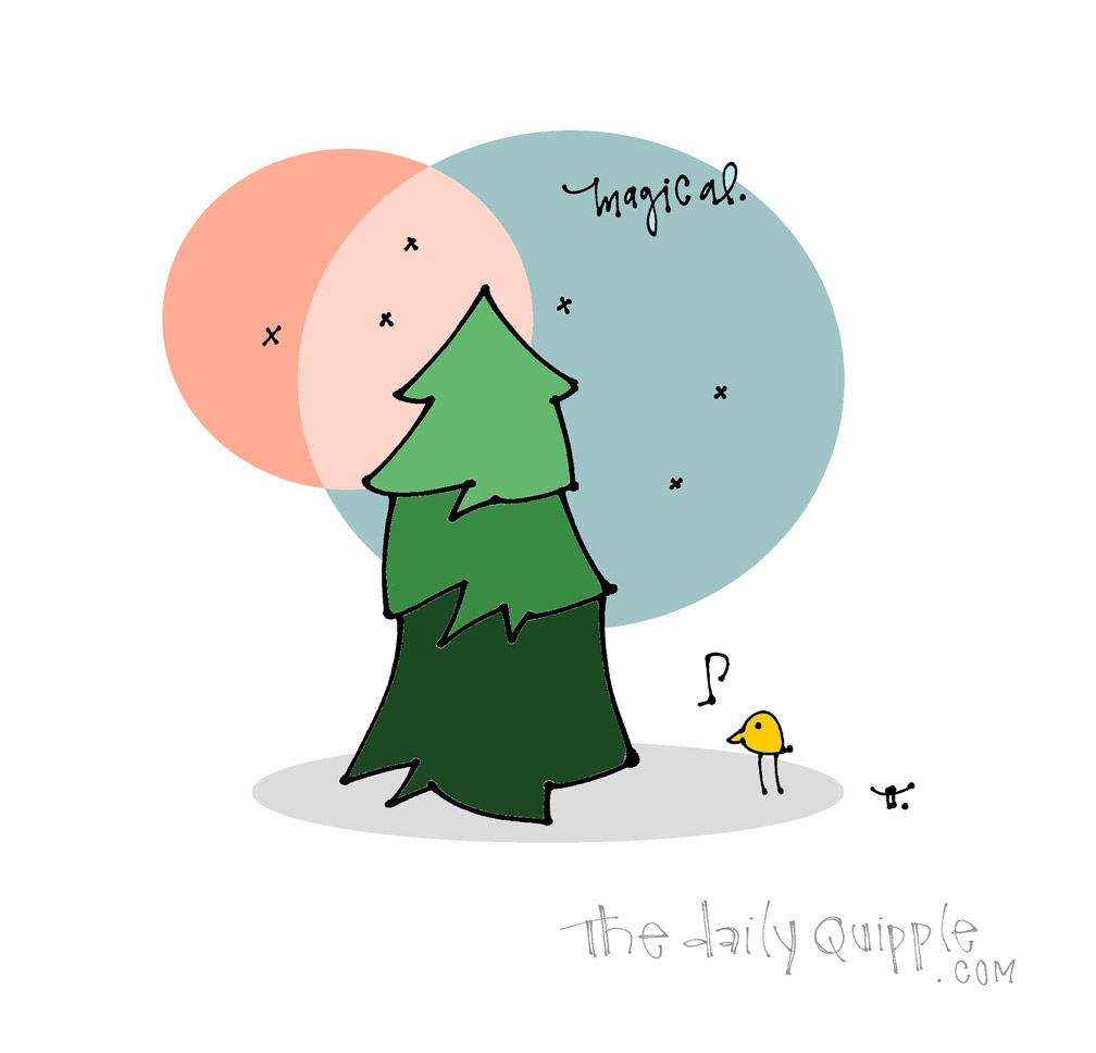 Found My Tree! | The Daily Quipple