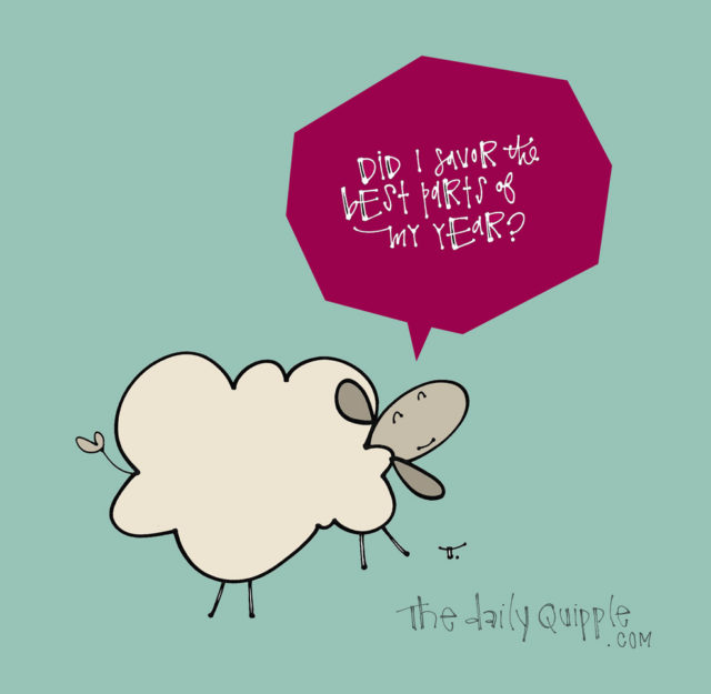 Did Ewe? | The Daily Quipple