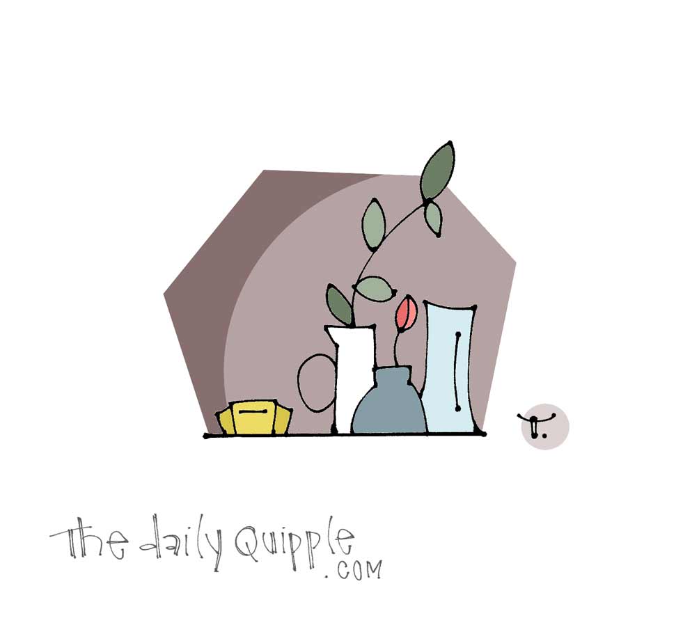 Shelfie | The Daily Quipple