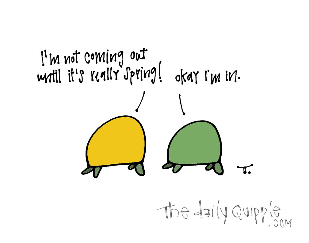 Staying In | The Daily Quipple