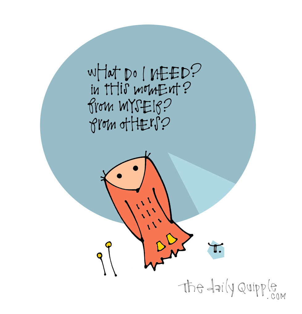 Wise Questions | The Daily Quipple