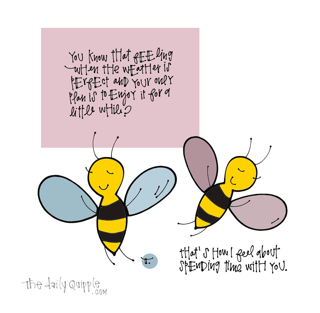 Never Too Bzz-y for You | The Daily Quipple