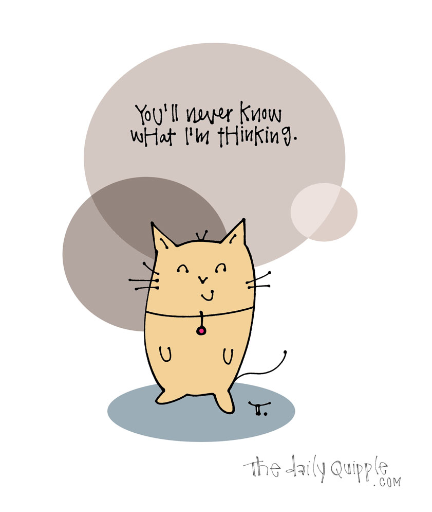 Feline Powerful | The Daily Quipple