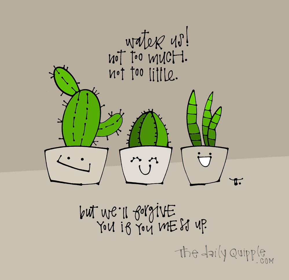 We Don’t Succ | The Daily Quipple
