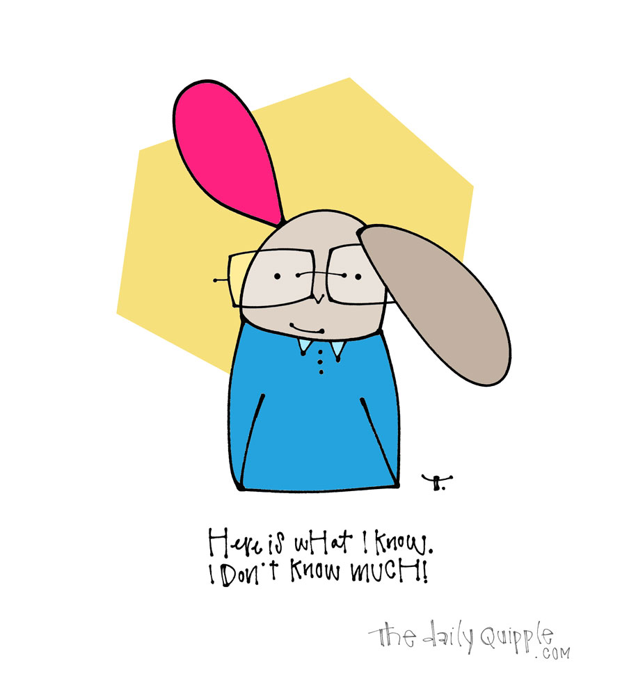 Not Much Bun | The Daily Quipple