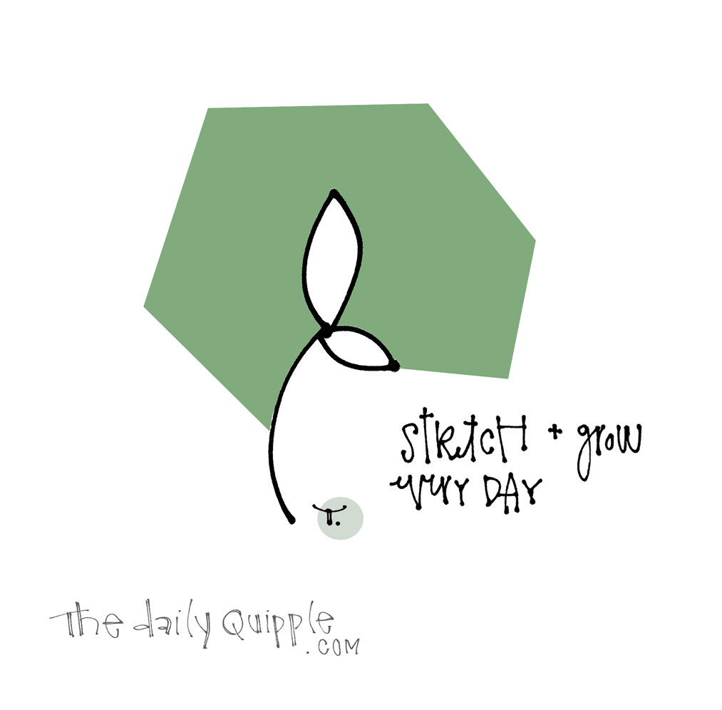 Stretch + Grow Through It | The Daily Quipple