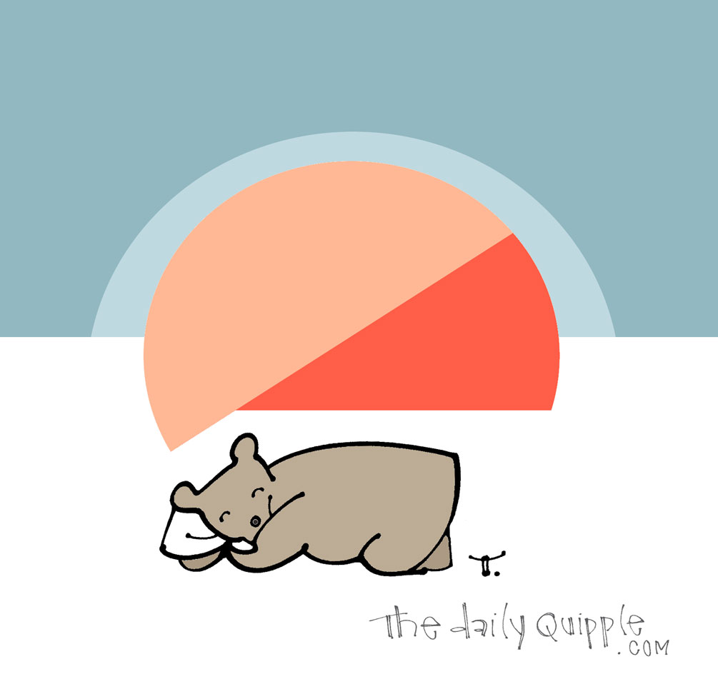 So Beary Sleepy | The Daily Quipple