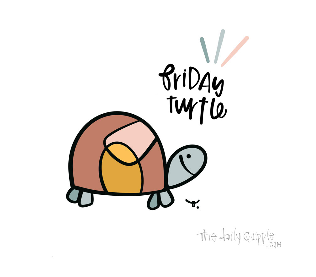 Friday Turtle | The Daily Quipple