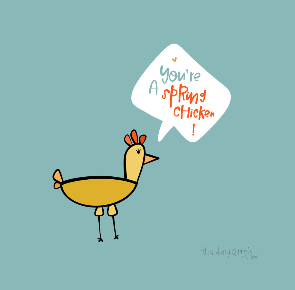Spring Chicken | The Daily Quipple