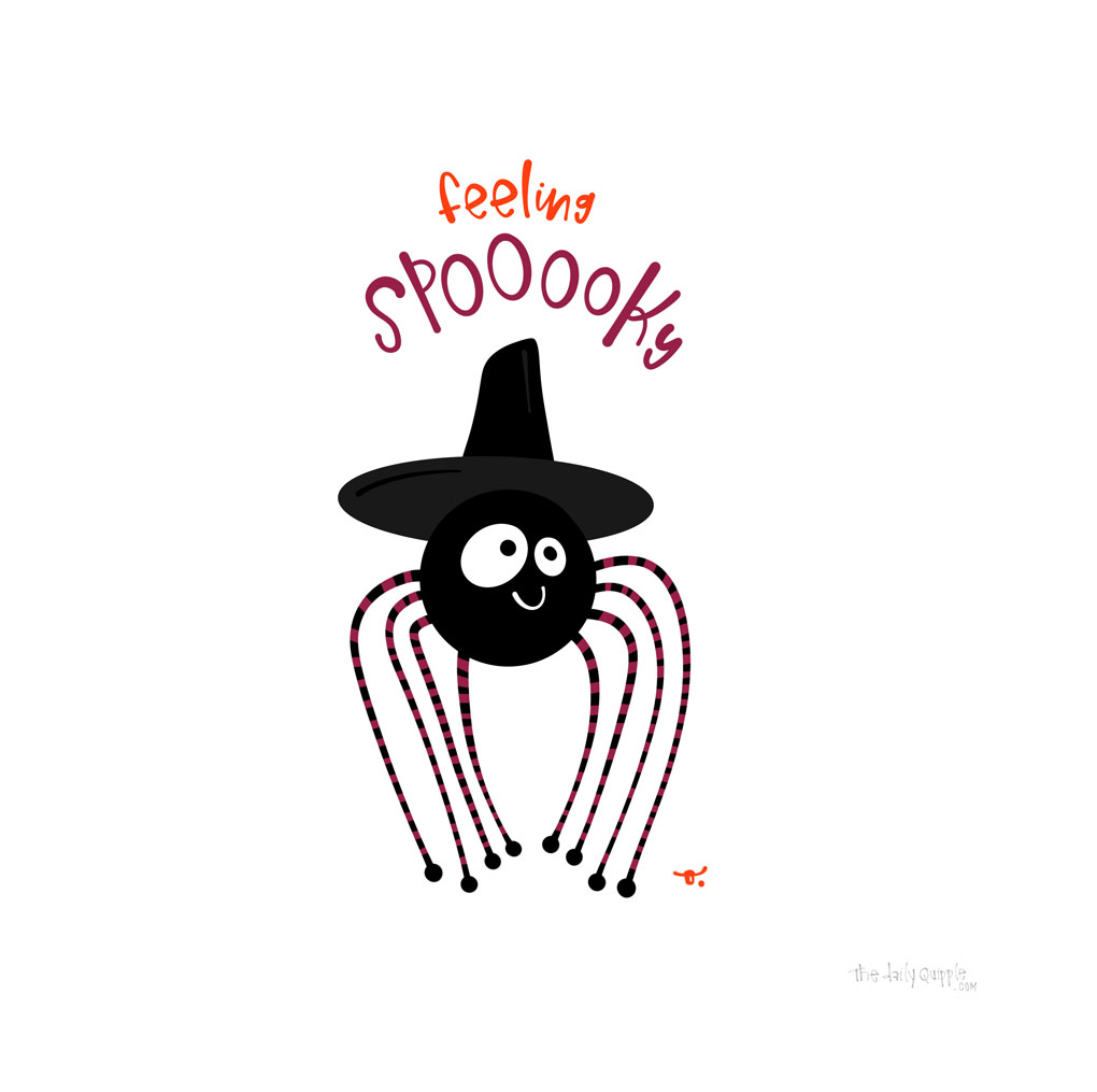 Spooky Spider | The Daily Quipple