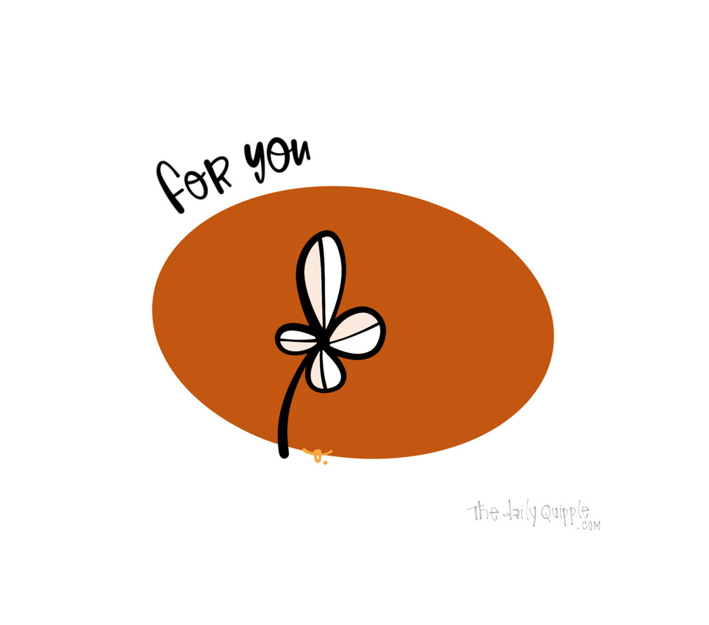 A Little Bloom | The Daily Quipple