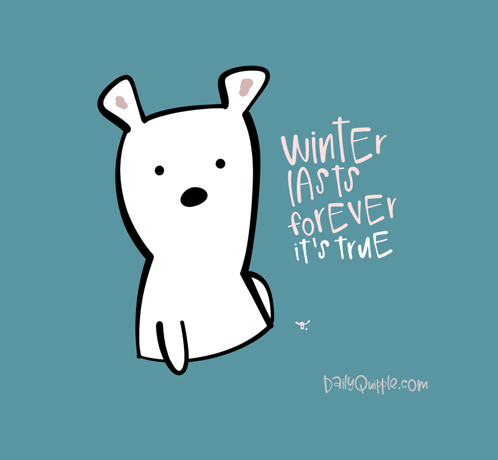 Winter Bear Says | The Daily Quipple