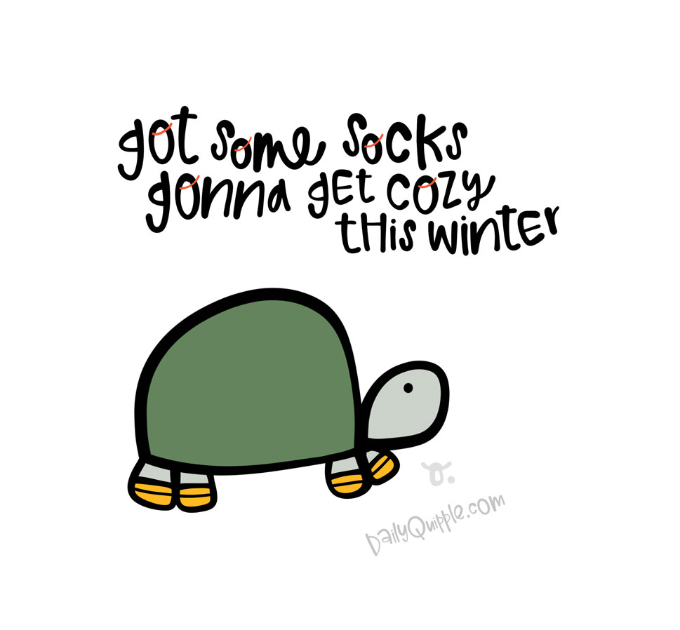Turtle Socks | The Daily Quipple