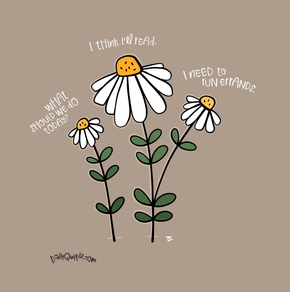 Daisy Days | The Daily Quipple