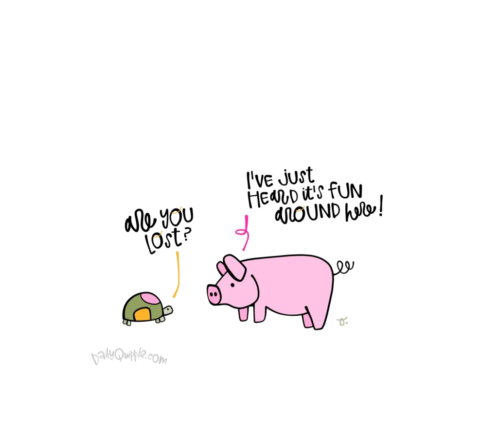 Turtle Meets Pig | The Daily Quipple