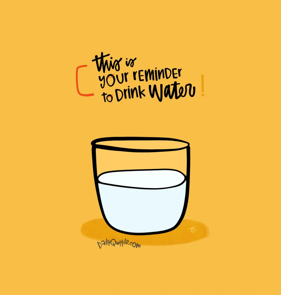 Visit the Hydration Station | The Daily Quipple