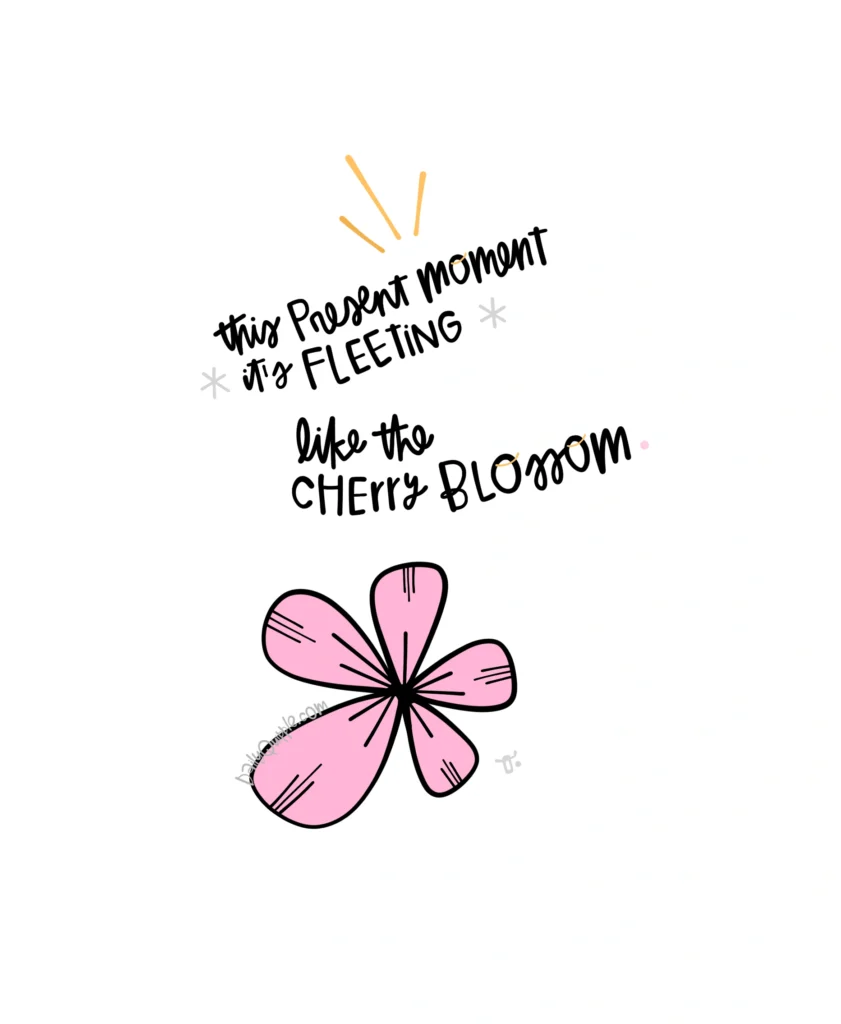 Sakura | The Daily Quipple