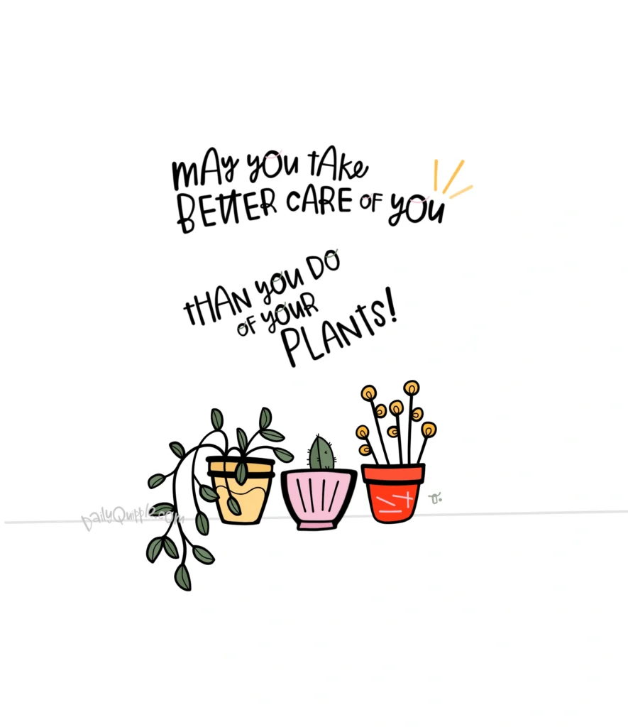 Water, Sun, and a Nice Window | The Daily Quipple