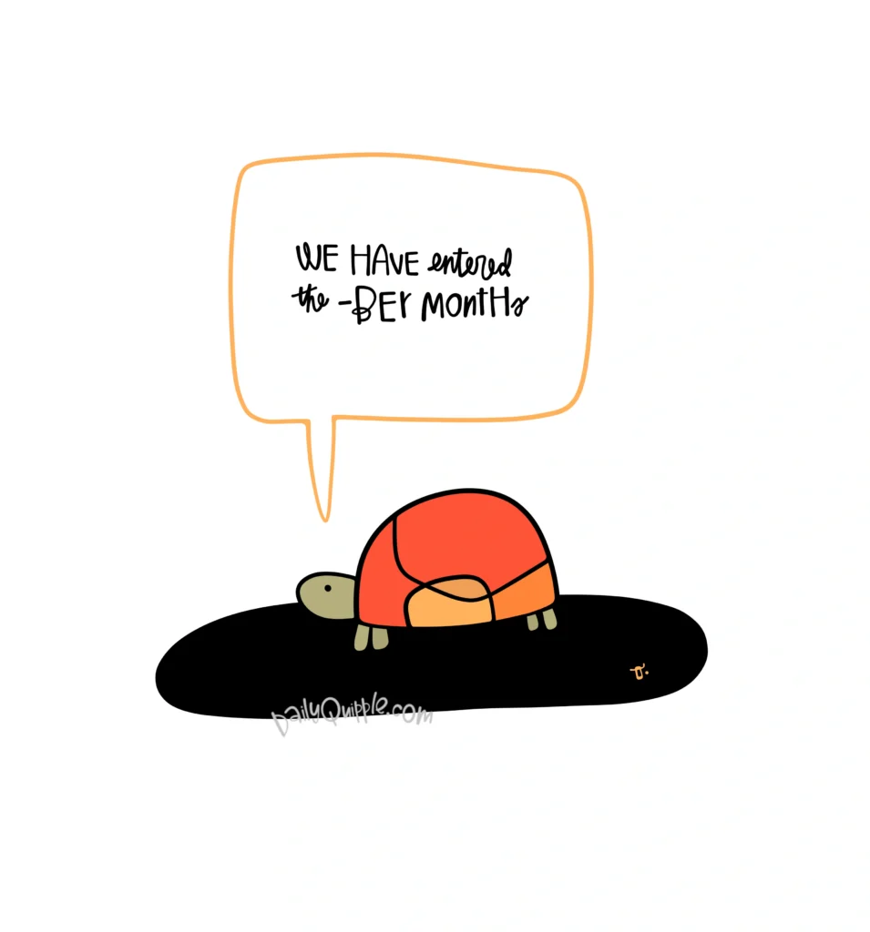 The Cozy Months | The Daily Quipple
